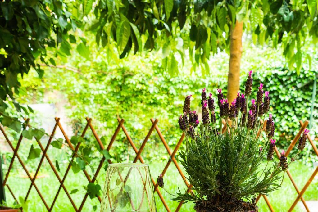 Marylou Gardenhouse Daire Pisa Dış mekan fotoğraf